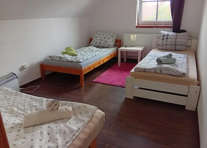Bohemica 4 *